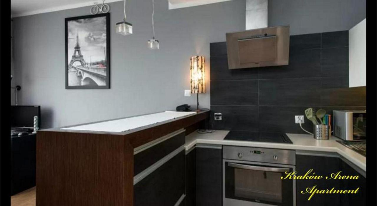 Studio Arena Apartment Krakow Luaran gambar
